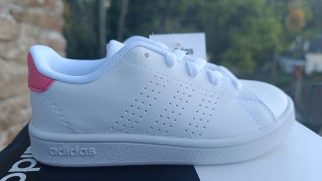 Adidas advantage sales clean femme vert