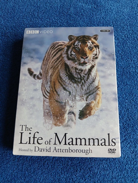 THE LIFE OF Mammals BBC Video 4 Disc Box Set DVD -EXTRA DVDs