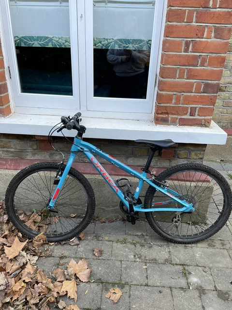 Orbea mx store 24 2020