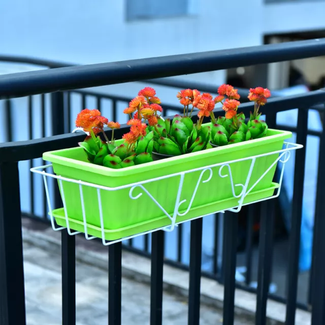 Cesto da appendere mensola ganci balcone pianta succulenta mini supporto vaso ringhiera Sh'EL