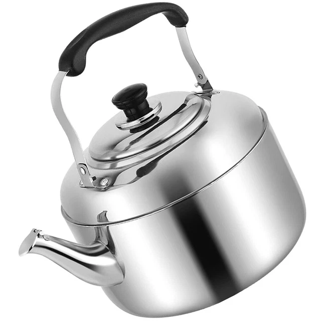 Japanese Teapot Water Tea Pot Stainless Steel Kettle Outdoor