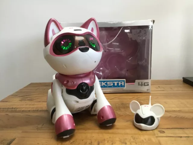 Teksta kitty best sale purple