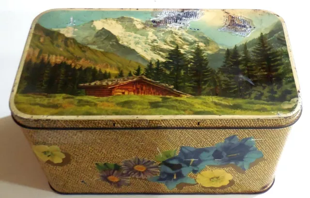 VINTAGE TIN BOX SCATOLA LATTA LIEVITO BERTOLINI 1960s peaseggaio momntagne