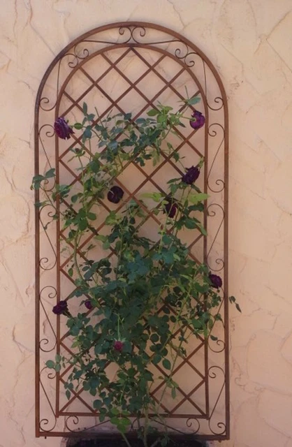 Rankgitter Spalier Wand Rankhilfe Sichtschutz Metall Provence XXL ROST RIESIG