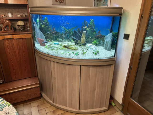 aquarium avec meuble