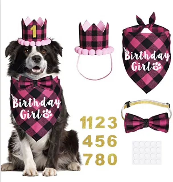 Doggie Birthday Party Pack Pink -Dog Crown + Pom-poms,bow Tie, Bandana, Numbers