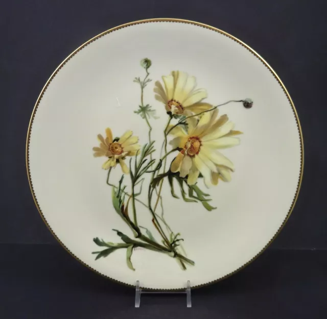Antique Mintons Cabinet Plate, Daisies