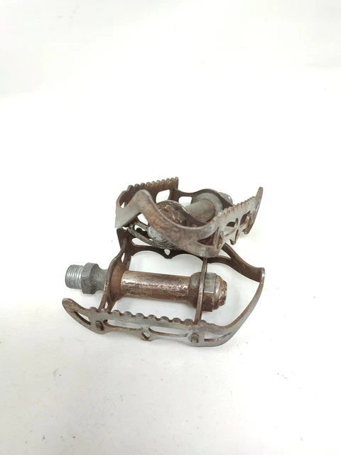 BICI DA CORSA d'epoca Wolsit Cambio Vittoria Eroica EUR 750,00