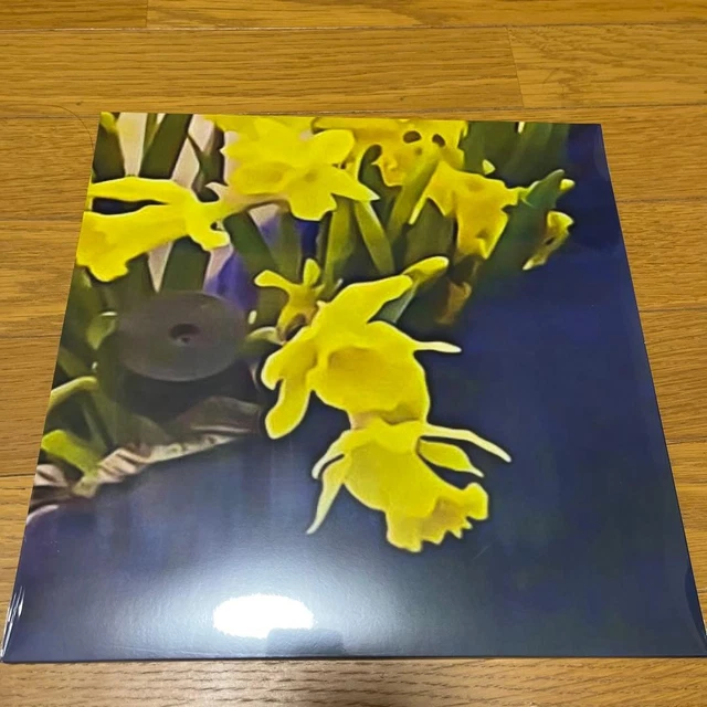 dean blunt & Elias Rønnenfelt lucre レコード lucre LP, Dean Blunt