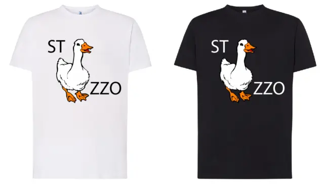 T-Shirt spiritosa scherzosa STO CAZZO doppio senso meme idea regalo gift oca