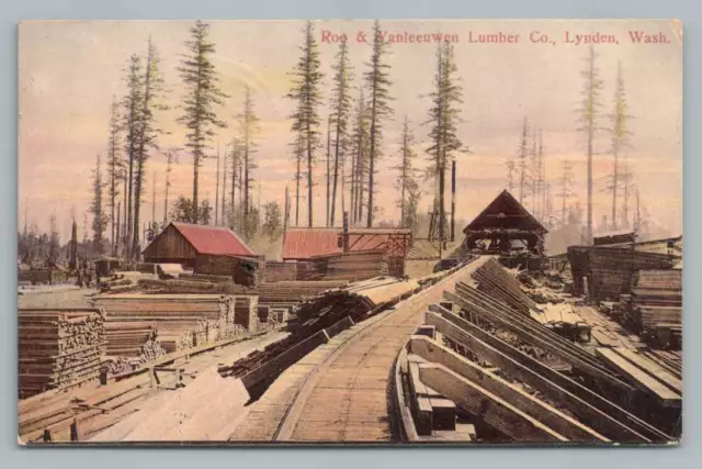 Roo & Vanleeuwen Lumber Co LYNDEN Washington~Whatcom County WA Logging 1910s