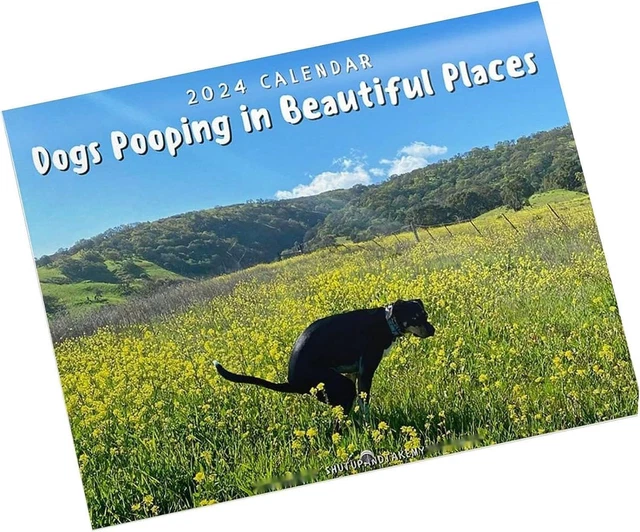 2025 CALENDAR Dogs Pooping in Beautiful Places Calendar, Dog Pooping