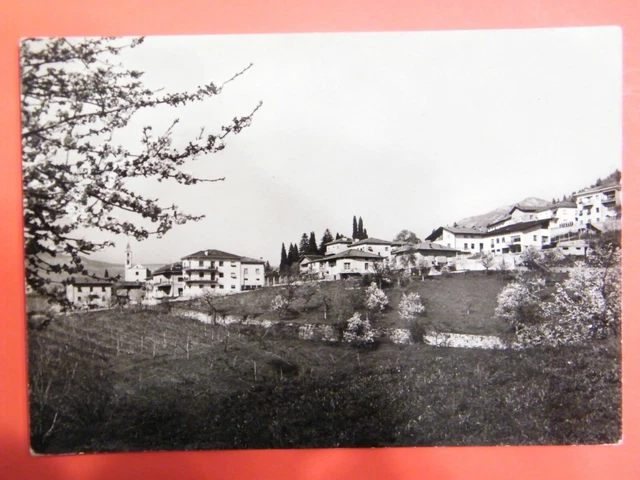 Villazzano Di Trento  -  Panorama  -