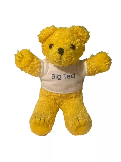 Big Ted Plush Toy | ABC Kids Playschool Big Ted Soft Toy Play School Toys  16cm