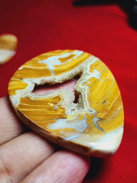 130 Ct petrified wood With Druzy Big Size 50*40*8 Mm