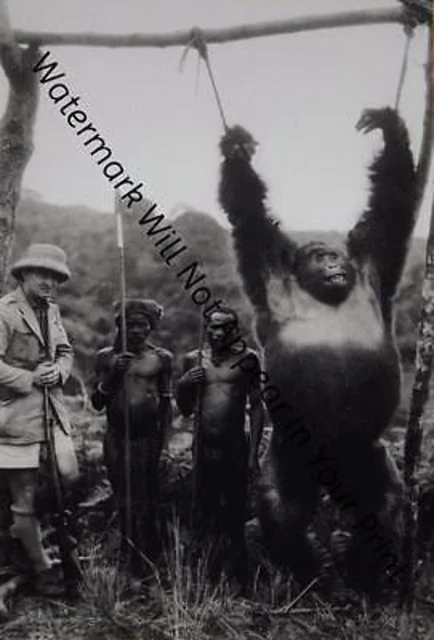 SCARY FREAKY ODD STRANGE Gorilla Hunting HORROR BIZARRE VINTAGE PHOTO WEIRD A32