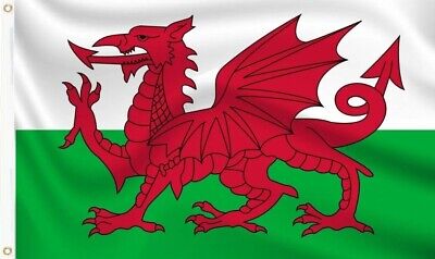 LARGE WALES FLAG - WELSH DRAGON FLAG 30" X 20" Made with Durable Raylon ~ NEW