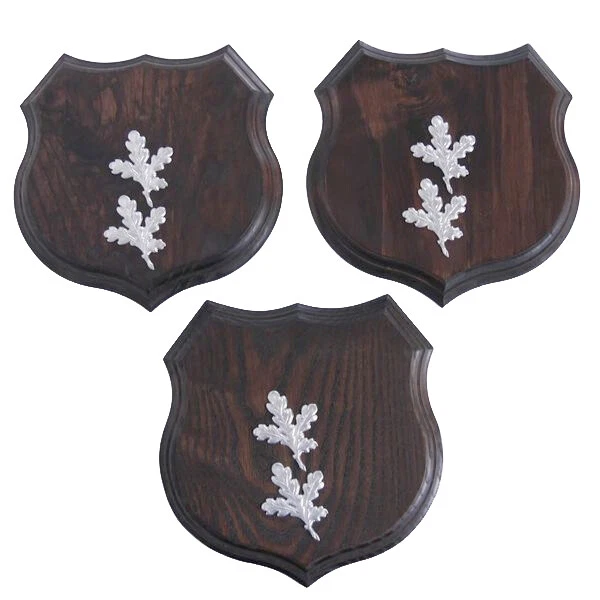 3x Armas Placa de Jabalí Escudo de Trofeo, Af 19cm, Hoja de Roble Portada Simple