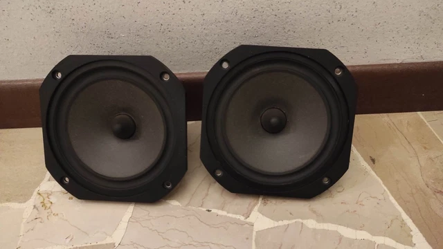 Coppia Woofer Chario 4″ (101mm) – 8 Ohm, 50 Watt, Universali, Garanzia 2 Anni