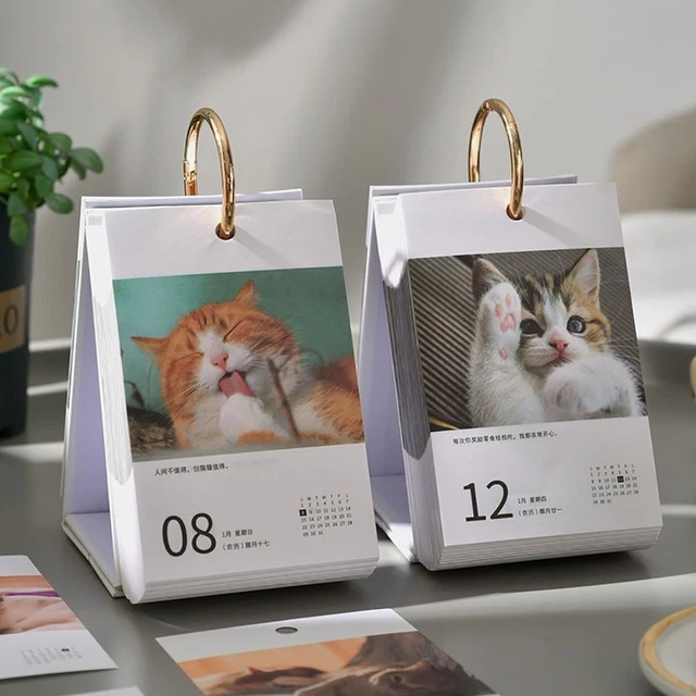 CARTOON CAT 2024 Calendar Date Vertical Calendar Durable Desktop