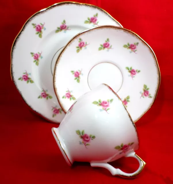 Vintage SALISBURY Tea Trio PINK ROSES China FLORAL Tea Set GORGEOUS