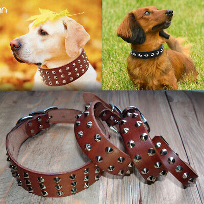 Genuine Leather Studded Dog Collars Heavy Duty for Small Medium Large Dogs S-XL