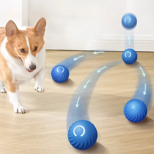 https://www.picclickimg.com/62cAAOSwf0hlhQeV/Active-Rolling-Ball-Anti-Anxiety-Automatic-Moving-Ball-Dogs.webp