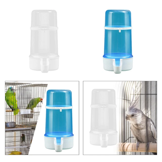 Mangeoire Pour Reptiles, Distributeur D'eau Automatique