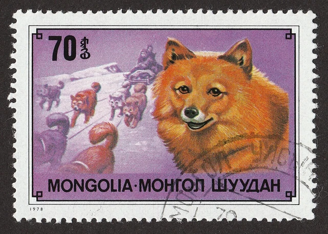 FINNISH SPITZ ** Int'l Dog Postage Stamp Art ** Unique Gift Idea ** FINNISH SPITZ ** Int'l Dog Postage Stamp Art ** Unique Gift Idea **