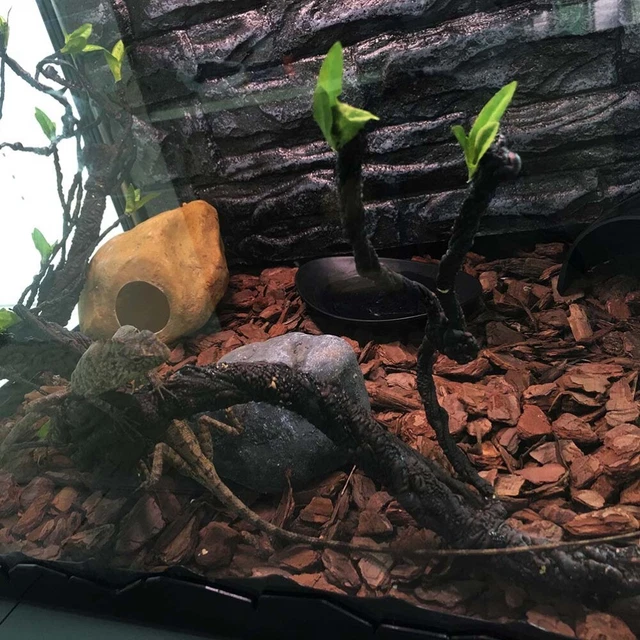 Vides de reptil hojas flexibles de reptil escalador de selva vides decoración hábitat fo