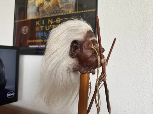 White Haired Jivaro Shrunken Head -Tsantsa