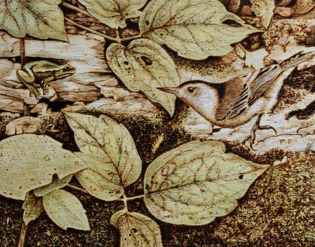 &COMING INTO FOCUS& Bird/Nuthatch And Frog Pyrography/Woodburning ...
