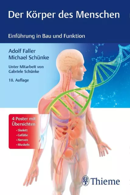 Der Körper des Menschen | Adolf Faller, Michael Schünke | 2020 | deutsch