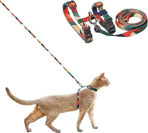 pidan - Ensemble de harnais et de laisse pour chat - Anti-fuite - Harnais rég...
