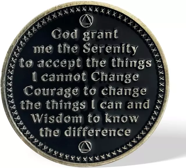 AA MEDALLION COIN - Grateful I Am Alive - Sobriety Recovery Chip ...