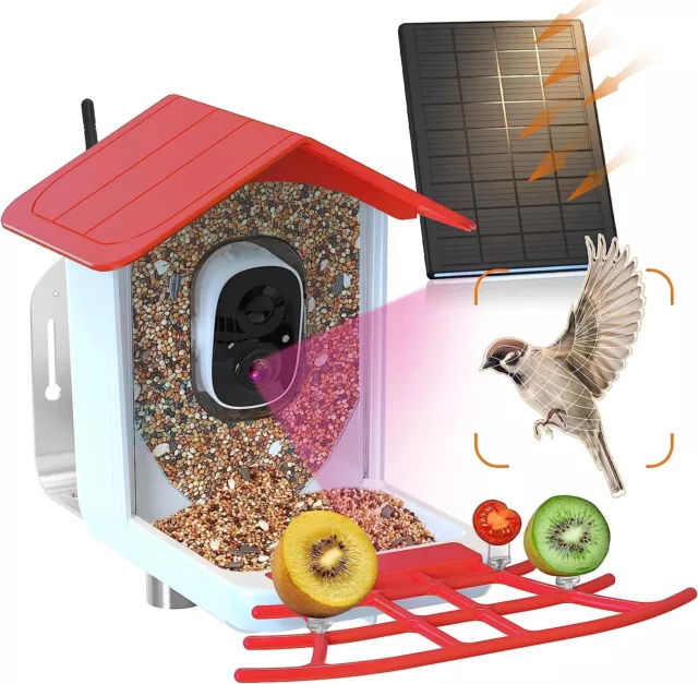 Smart Bird Feeder Camera, Bird Feeder with Solar, AI Identify Bird Species, IB5