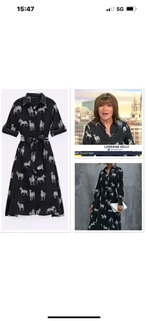 ZARA ZEBRA BLACK Satin Midi Belted Shirt Dress Pockets Lorraine Kelly S 8 10 VG 9.99 PicClick UK