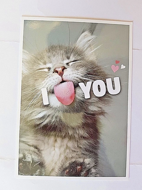 Postkarte Katze sagt: "I LOVE YOU" Liebeserklärung Romantik Tier-/Katzenliebe
