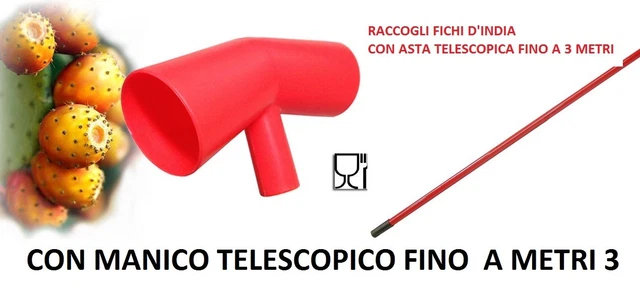 Raccogli Fichi D'India Con Asta Telescopica | Fino A 3 Metri | Cono In Polipropilene Alimentare | Anti-Spine - Foto 4