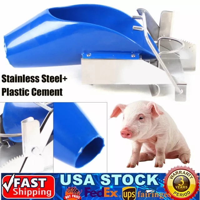 Piglet Castration Frame Piglet Breeding Equipment For Piglet  Less than 20 Days
