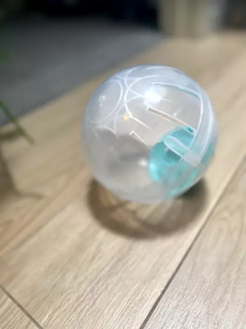 18" Transparent Hamster Ball Healthy Pet Toy with Buckle Closure