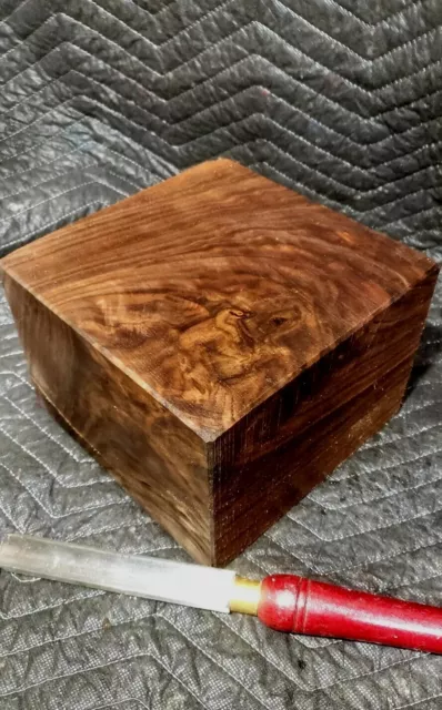 Crazy  8"×8"×6" Feathered Burl Crotch Black Walnut Turning Blank. Carving Wood