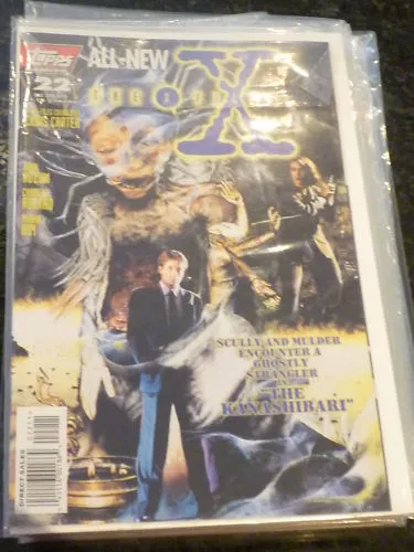 THE X-FILES Comic - Vol 1 - No 22 - Date 09/1996 - Topps Comics