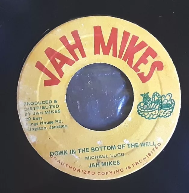 Down In The Bottom Of The Well - Jah Mikes