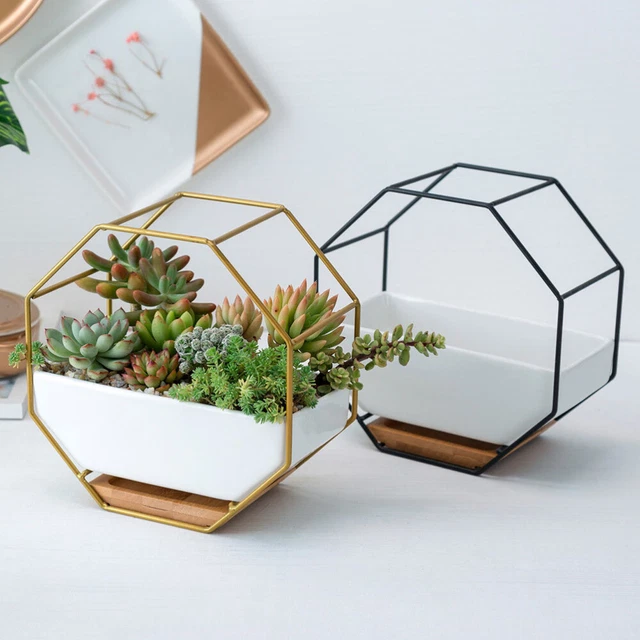 Octagonal Geometric Storage Rack Hanging Wall Glass 9
