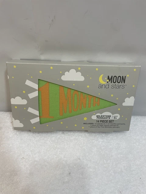 Moon And Stars Baby Milestone Growth Photo Prop Pennants 14 Piece Set