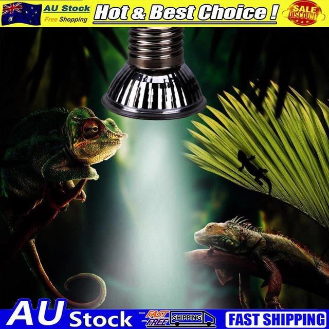 25/50/75W Reptile Box Heating Lamp UVA+UVB 3.0 Alloy Pet Products (25W)