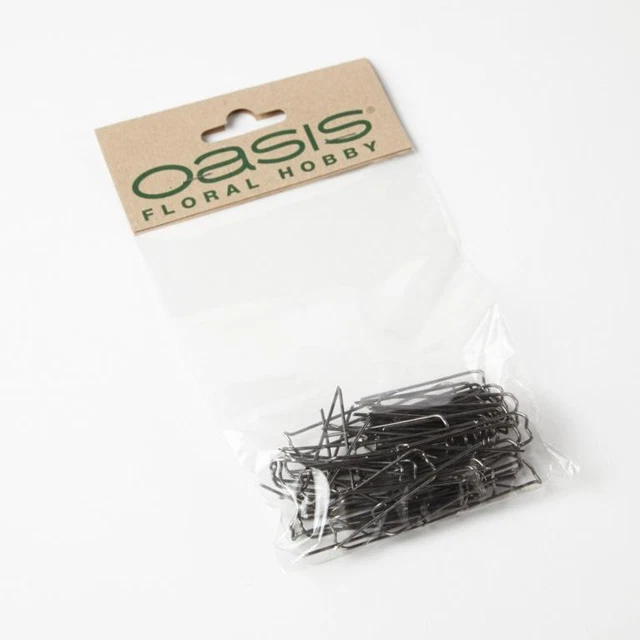 Oasis  Alfileres German (ST3510)