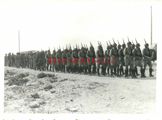 Foto, Wk2, Jagdgeschwader 27, Deutsches Afrikakorps, Beisetzung (N)50108