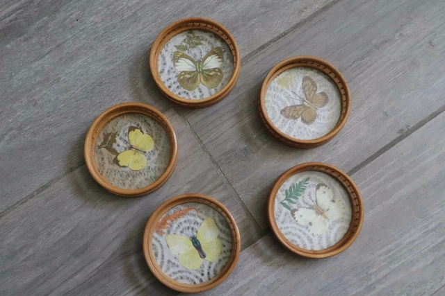Lot 6 dessous de verre vintage Papillon années 60